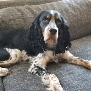 Meet your Posher, Katherine